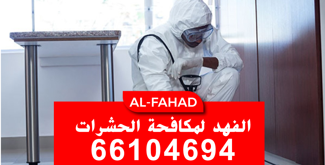 مكافحة-حشرات-العاصمة