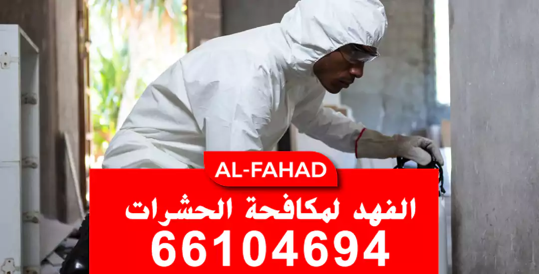 رش صراصير حولي