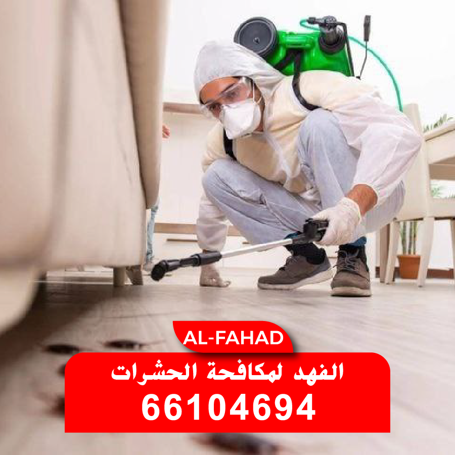 رش مبيد سائل شفاف وآمن حول مداخل الأبواب والنوافذ لمنع دخول أسراب الحشرات - من أفضل مكافحة حشرات في الكويت